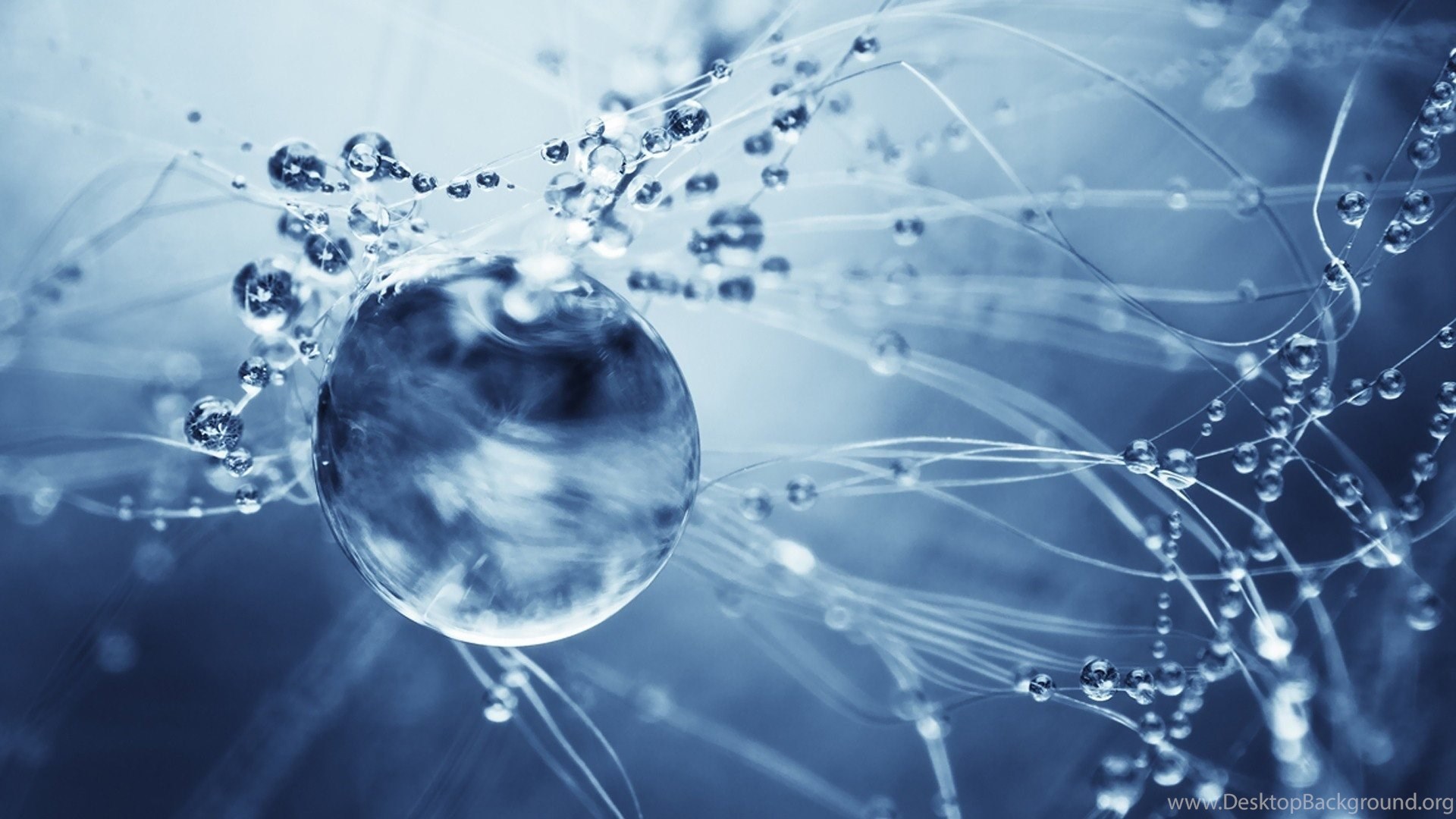 Water Drop Hd Wallpapers For Pc Desktop Background