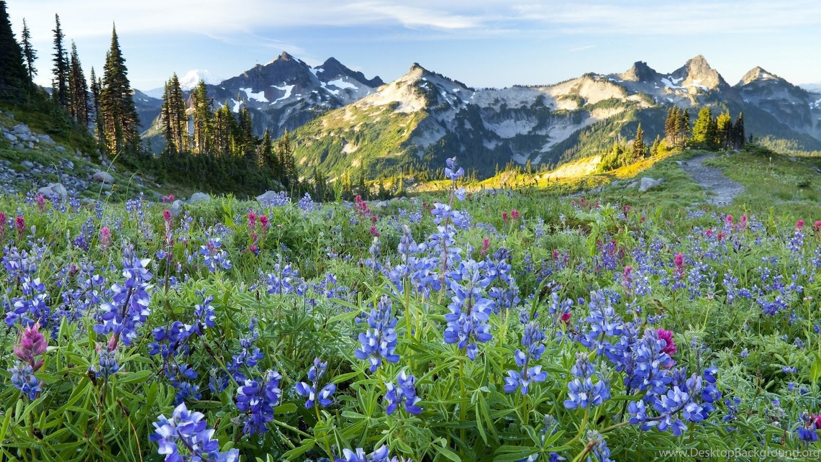 photo Full Screen Download Hd Full Screen Beautiful Nature Wallpaper desktop full screen desktop background