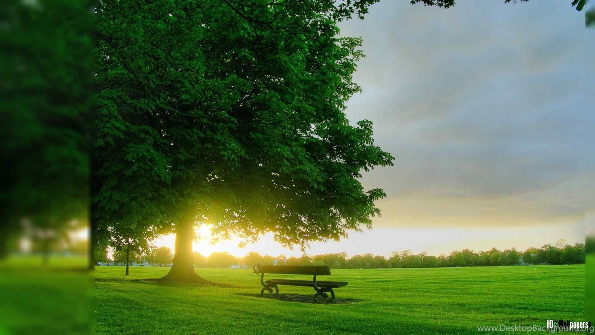 Hd Nature Wallpapers For Android Phones Free Download - Nature