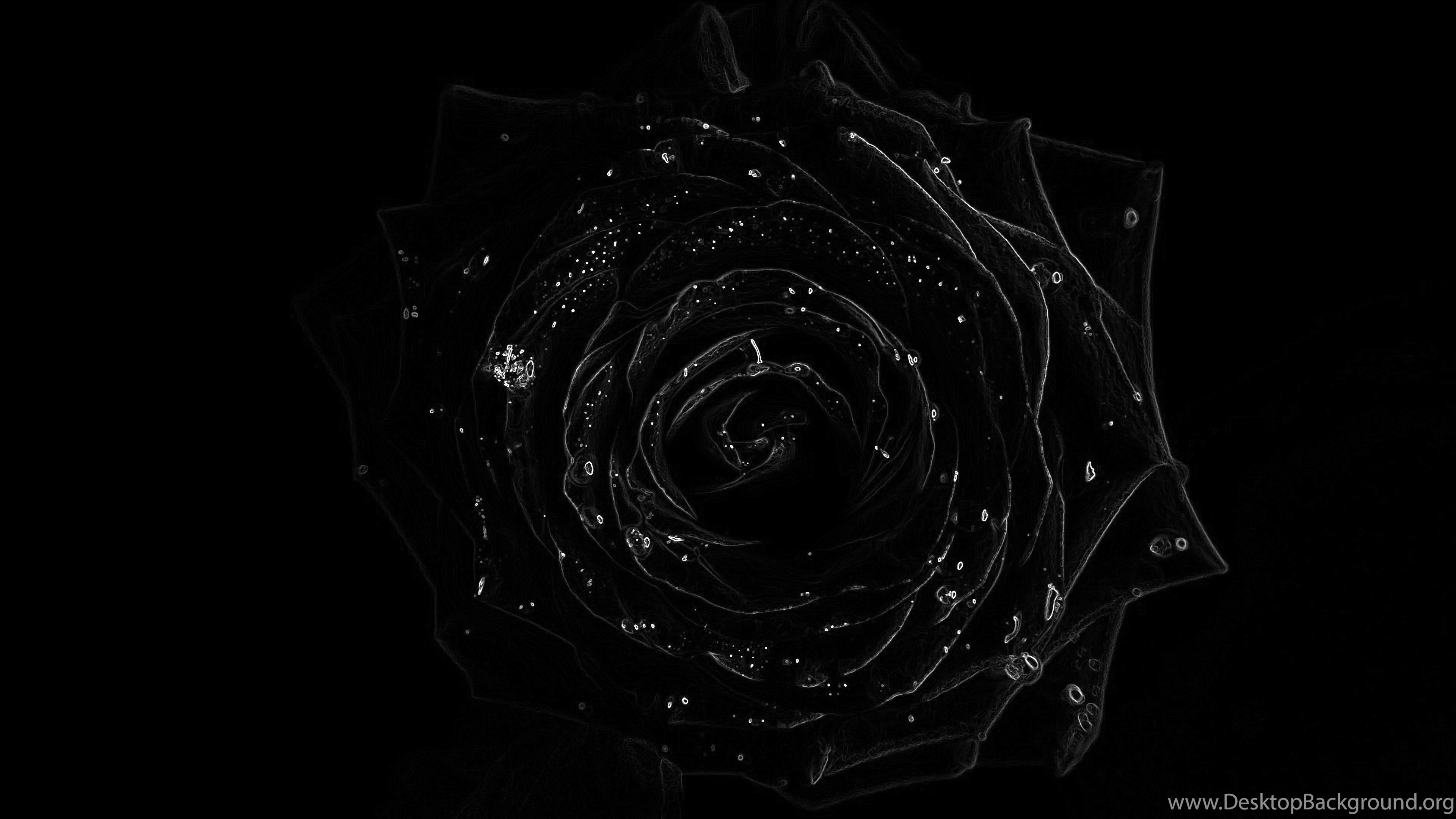 4K (ULTRA HD, UHD) / 3840x2160 / Black Rose Wallpapers And Desktop