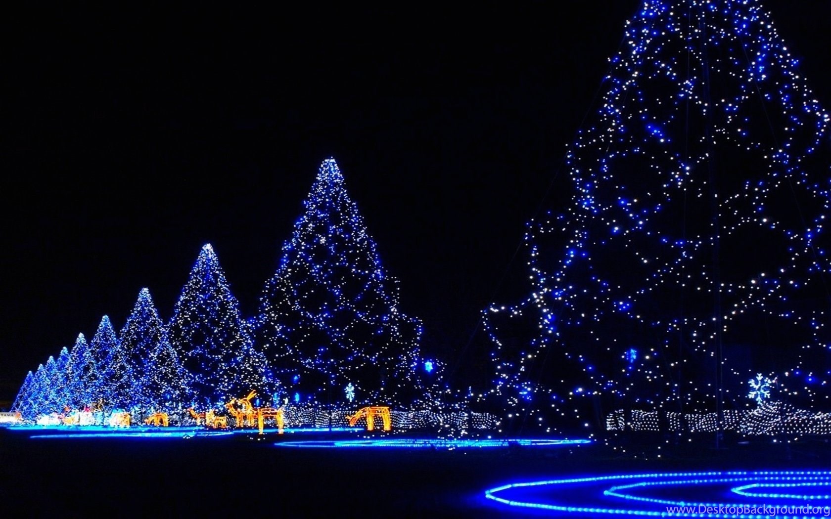 Wallpapers Christmas Trees In City 1680 X 1050 Christmas Santa Desktop Background