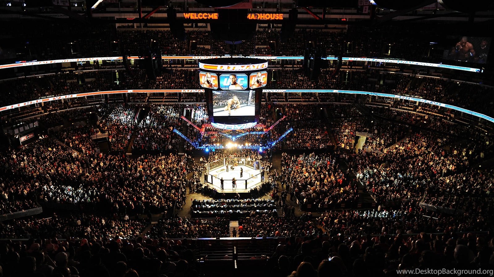 repin image mma octagon backgrounds