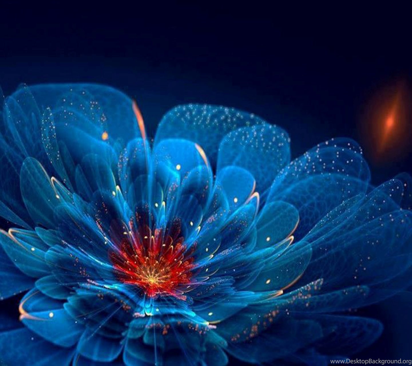 My Image 3