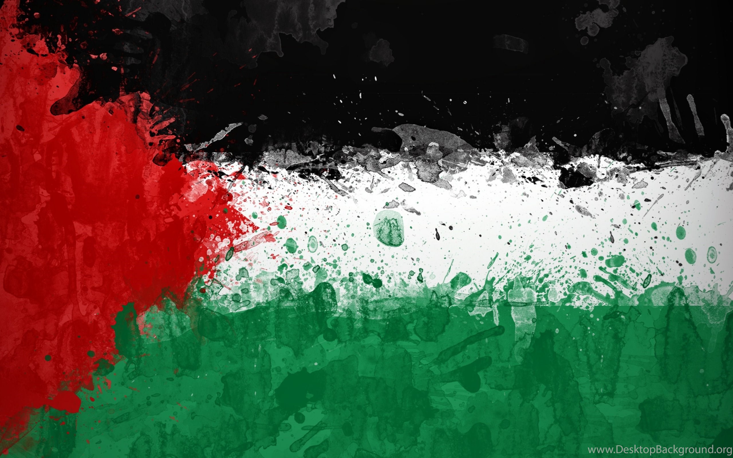 Download Wallpapers 2560x1600 Palestine Background Texture