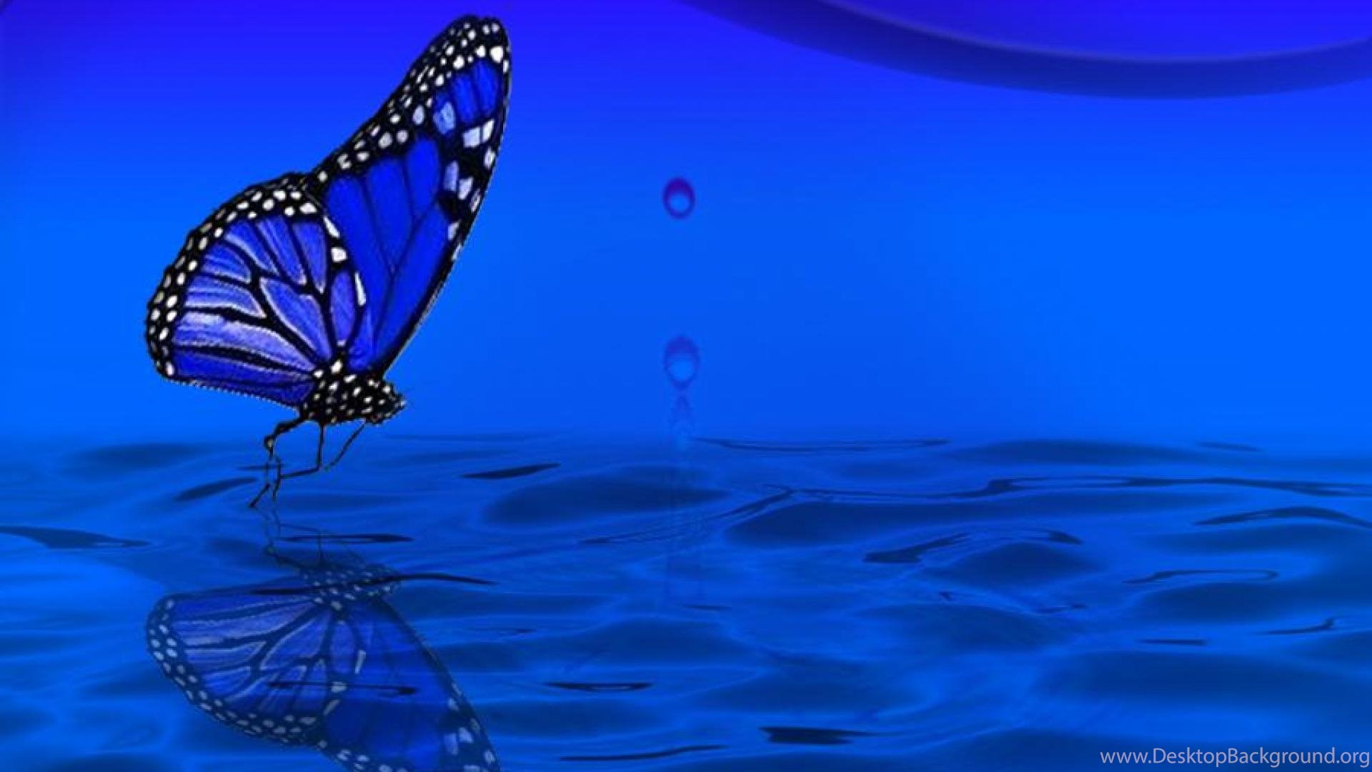 Butterfly Blue Wallpaper