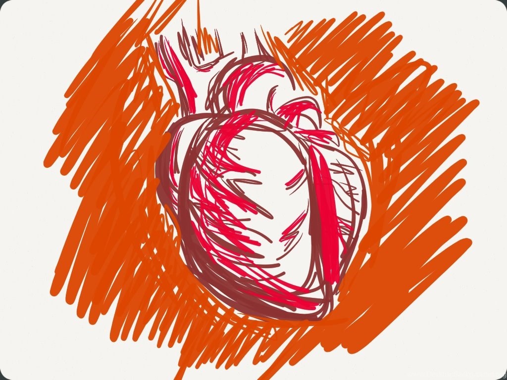 Human Heart By Blueberrybananas06 On Deviantart Desktop Background