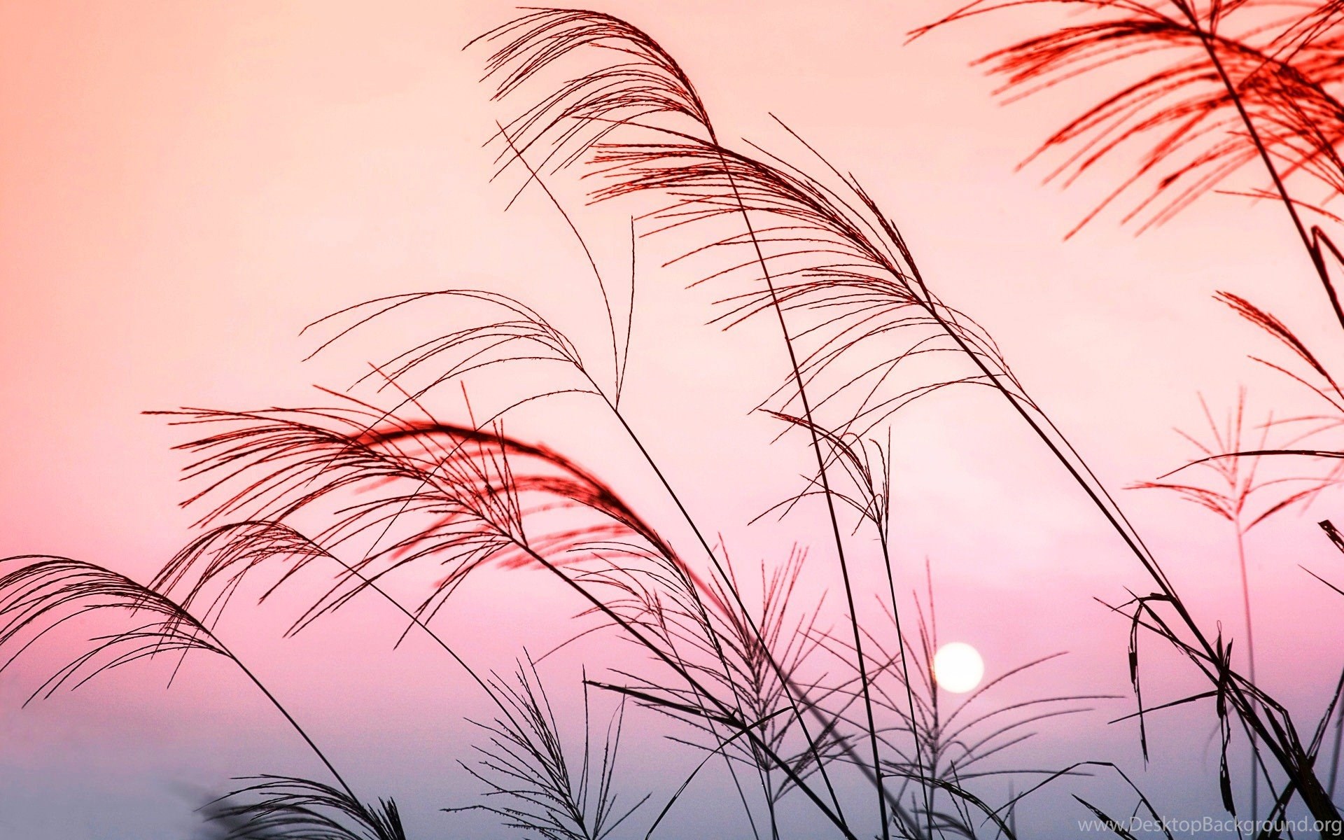 244 Pastel HD Wallpapers Desktop Background