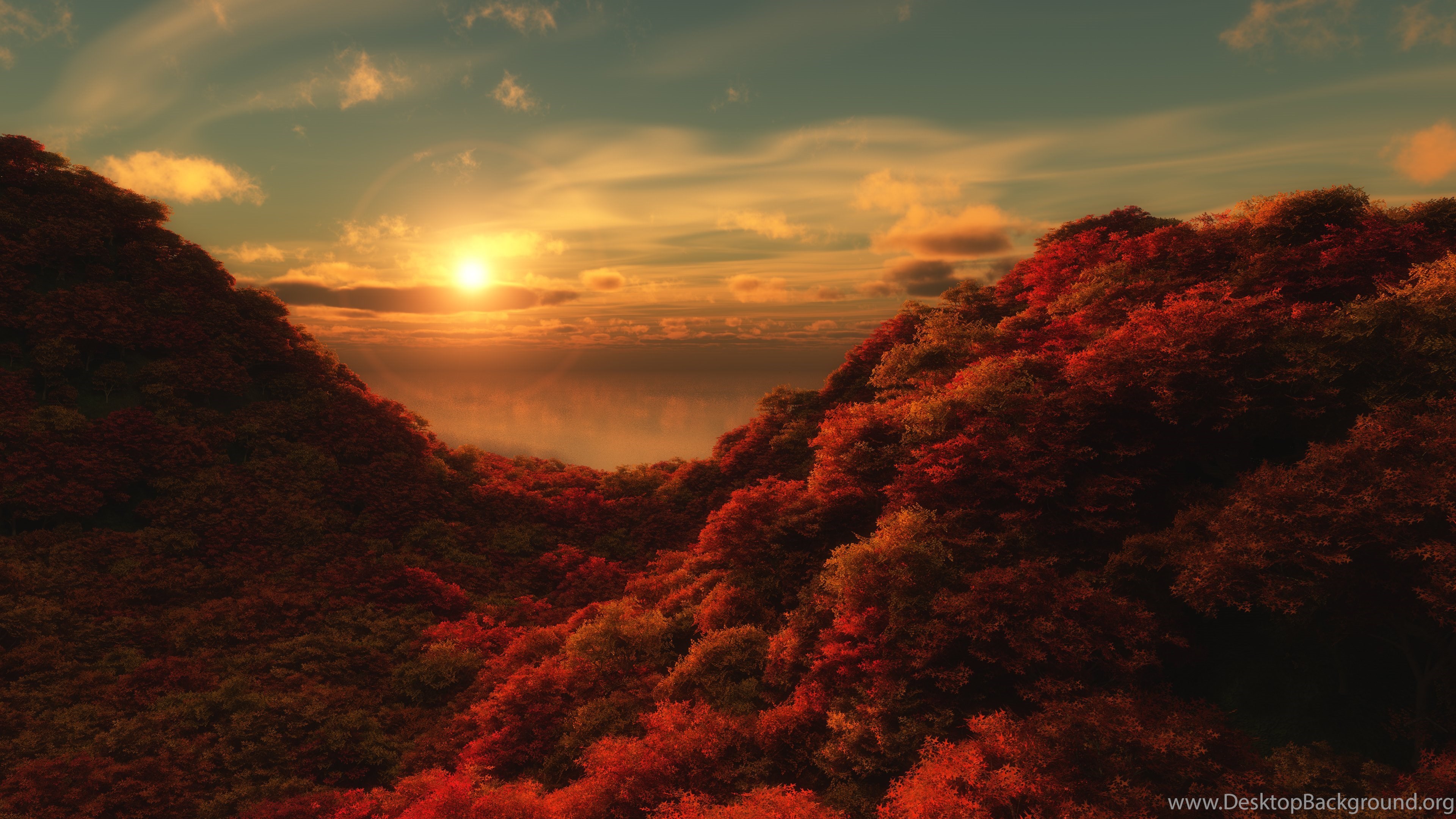 Hot Morning Colors Hd Wallpapers 4k Wallpapers Desktop Background