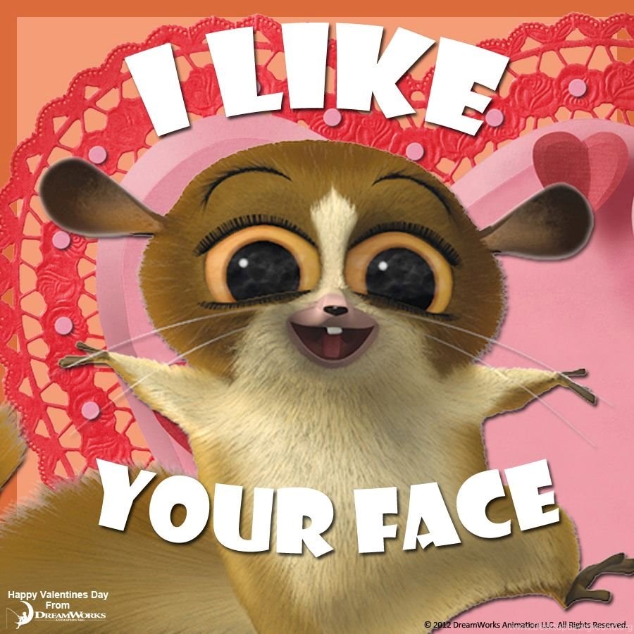 Mort Madagascar Quotes Quotesgram Desktop Background