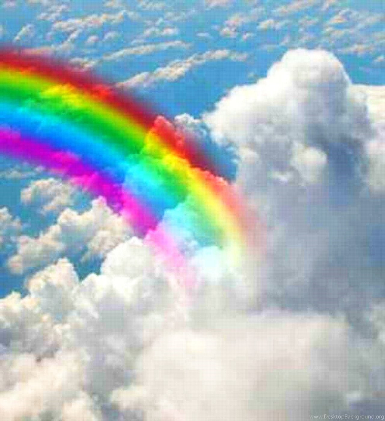 My Image 13