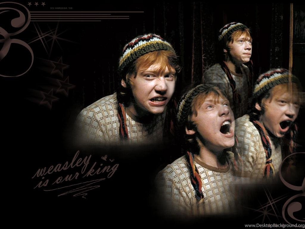 Ron Weasley Ronald Weasley Wallpapers 1047379 Fanpop Desktop