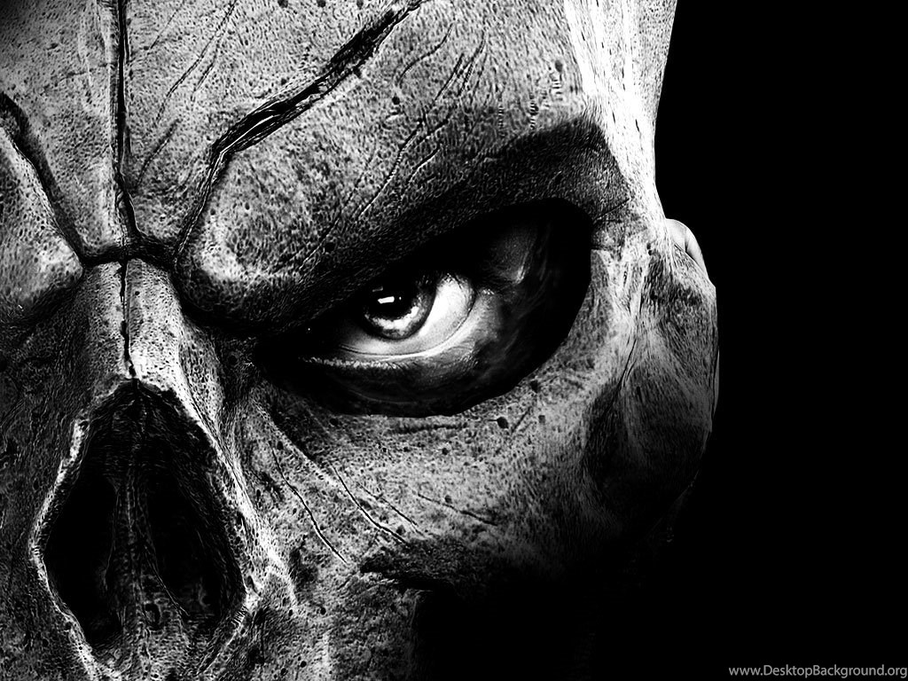 Wallpapers Skulls Skull High Resolution 1024x768 Desktop Background