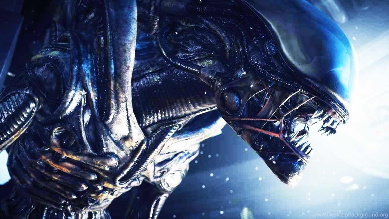 Alien Isolation Xenomorph Wallpapers Wallpaper Desktop Background