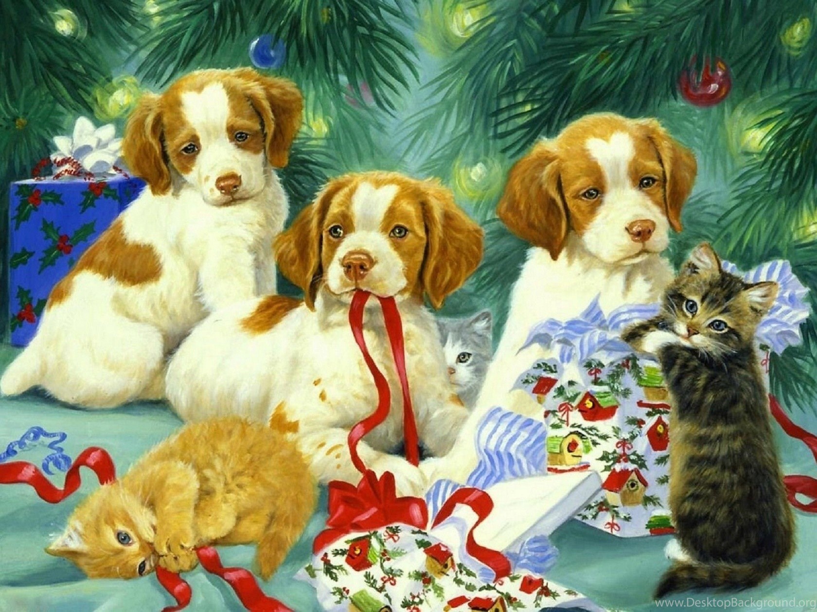 Wallpapers Of Puppies And Kittens Wallpapers