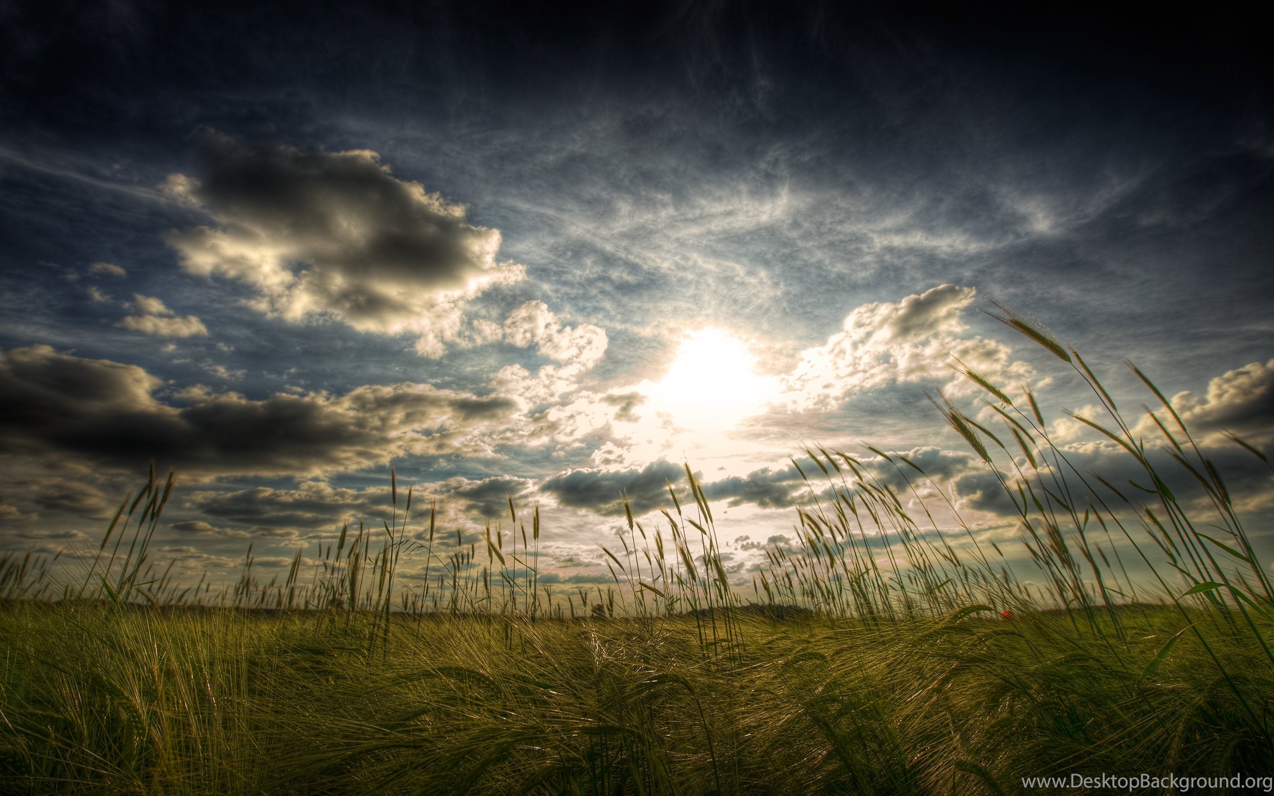 images Wide Hd Wallpapers 2560X1600 wallpapers nature islamic wide hd best