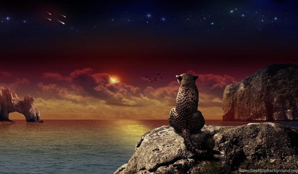 Wallpapers Animated Gif Nature Christmas Tree 800x600 Desktop Background