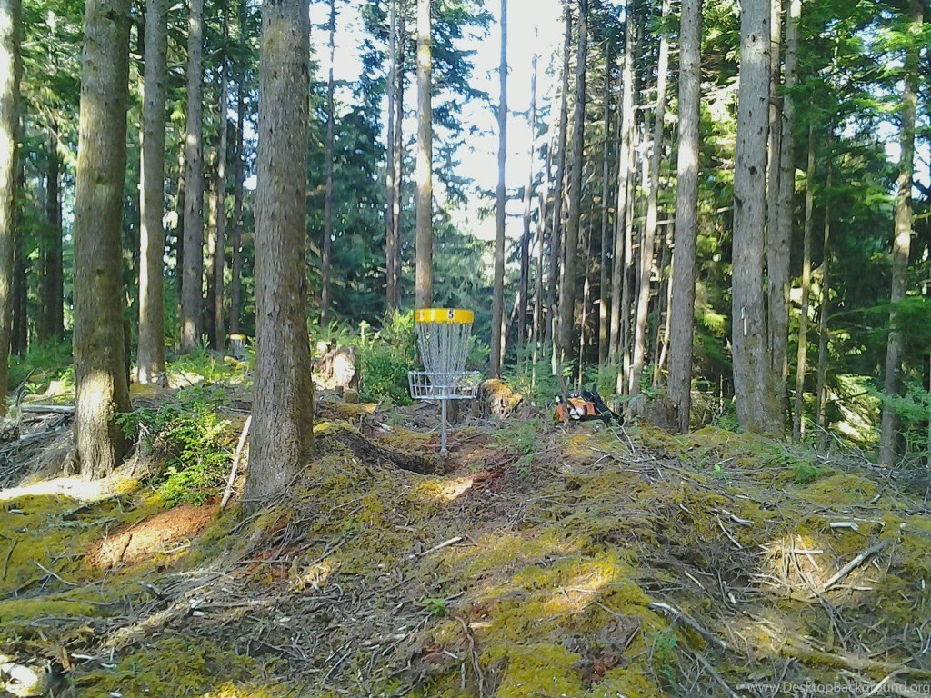 Wilder Celebrates Central Oregon Coast's First Disc Golf Course
