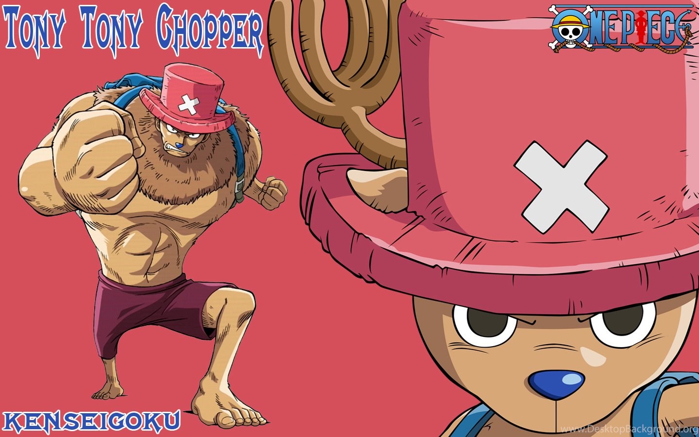 Download 70 Wallpaper One Piece Chopper terbaru 2019