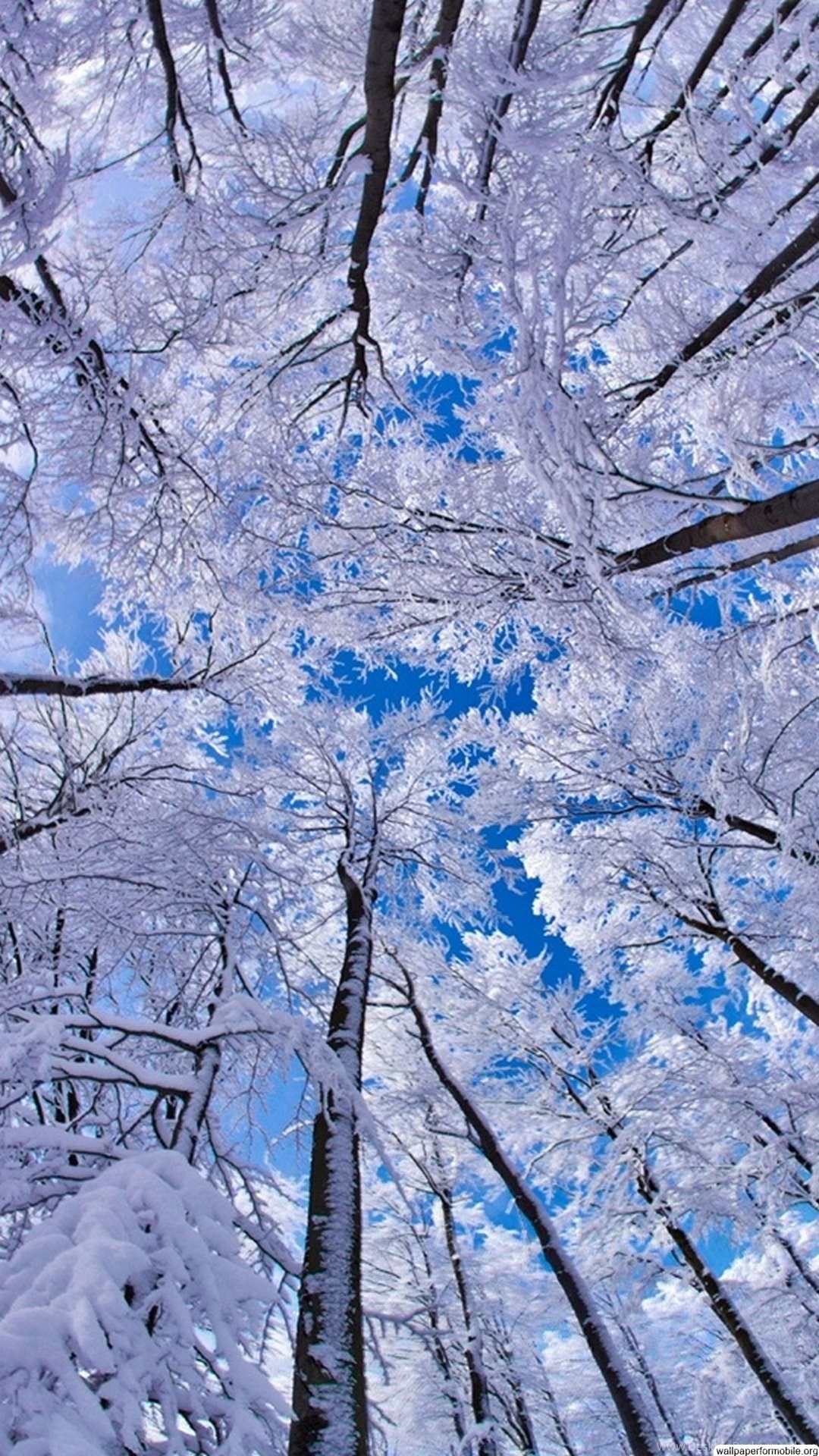 Free Winter Wallpapers For Phone Wallpapers For Mobile Desktop