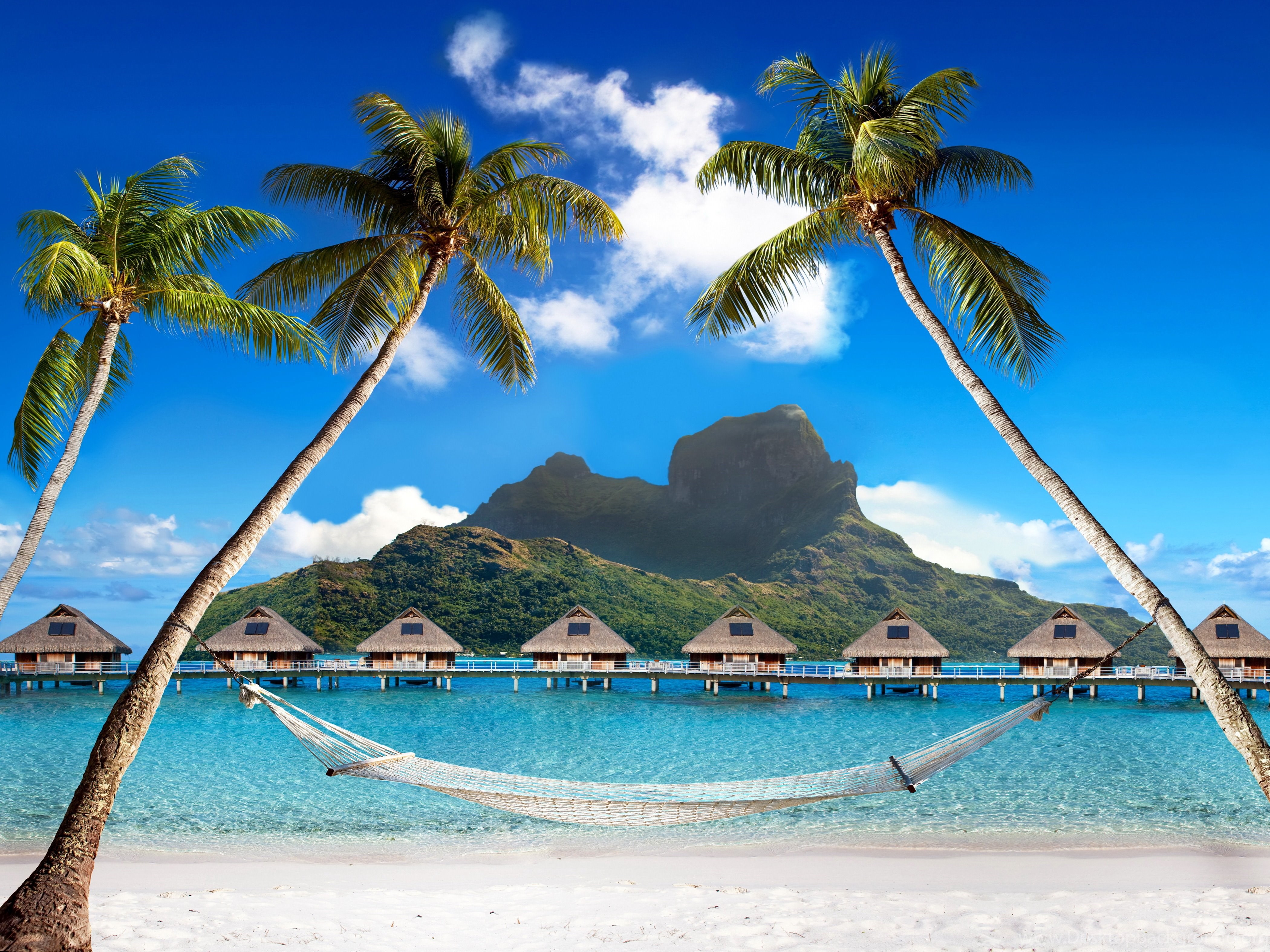 Download Wallpapers Tropical Paradise Beach Palms Sea Ocean Desktop Background