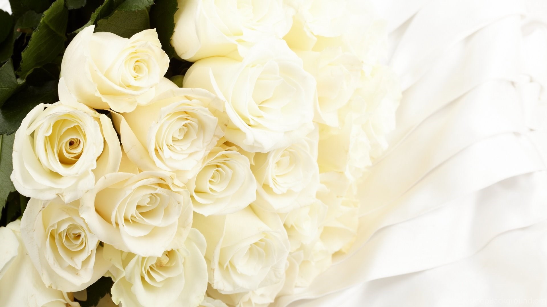 Free Download White Rose Flowers Bouquet 1080p Wallpapers