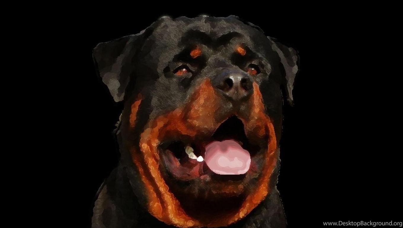 Rottweiler Puppies Wallpapers Hd 19 Free Wallpapers Hivewallpaper.com