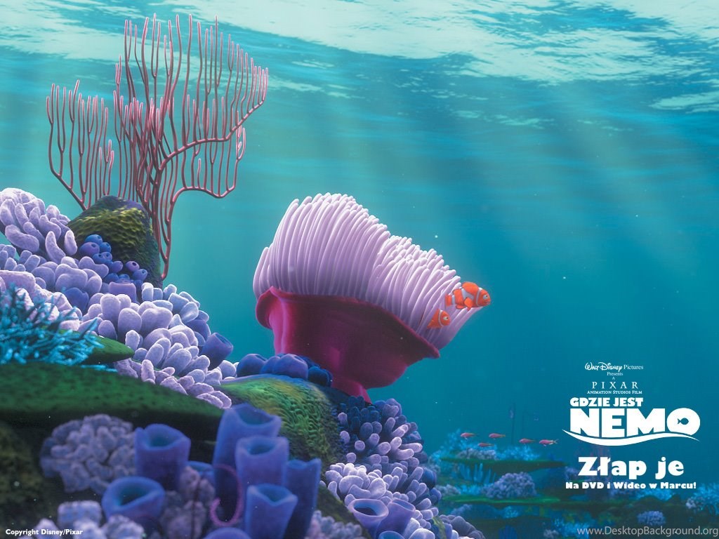 Finding Nemo Backgrounds Desktop Background