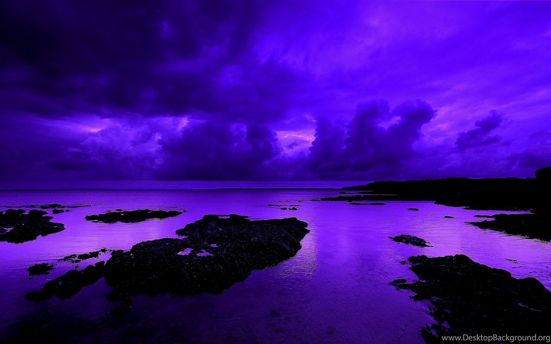 Violet Backgrounds Wallpaper High Definition High Quality