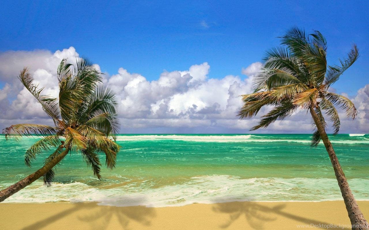 Beach Live Wallpapers For Android Free Download On Mobomarket