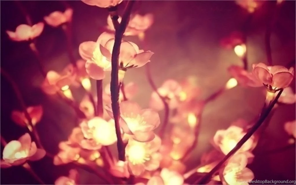 Wallpapers Lights By Analaurasam On DeviantArt