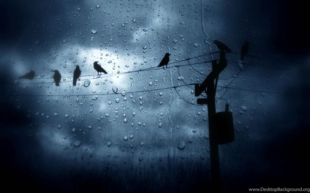 25 Romantic Rain Wallpapers
