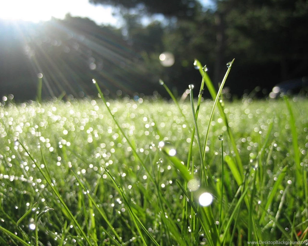 Rain Wallpapers Desktop