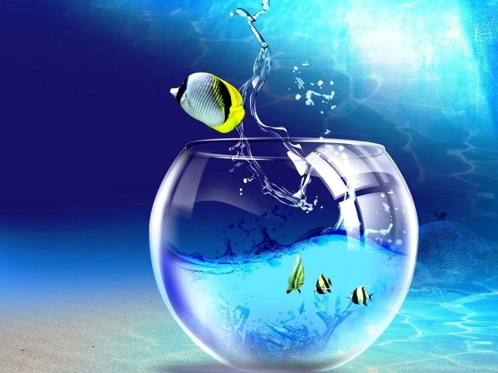 Animated desktop wallpaper windows free jumping fish.jpg