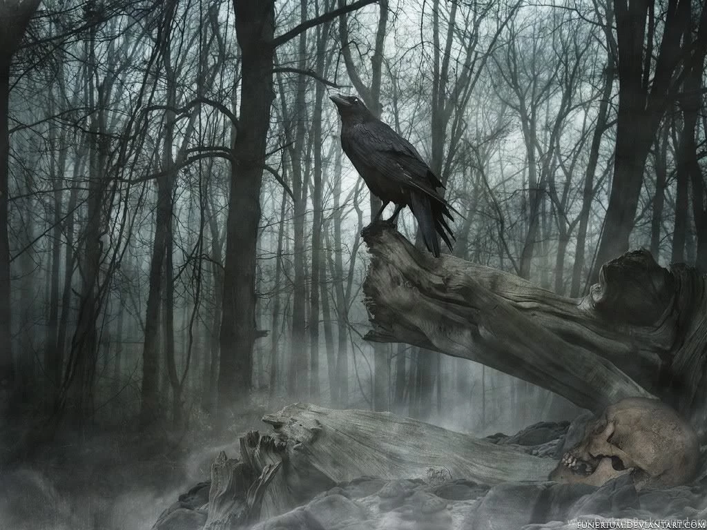 Scary backgrounds 50.jpg Photo By Buster 84