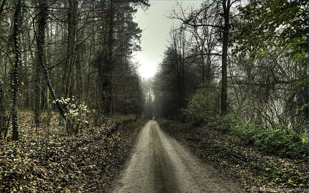 Haunted forest scary road.jpg