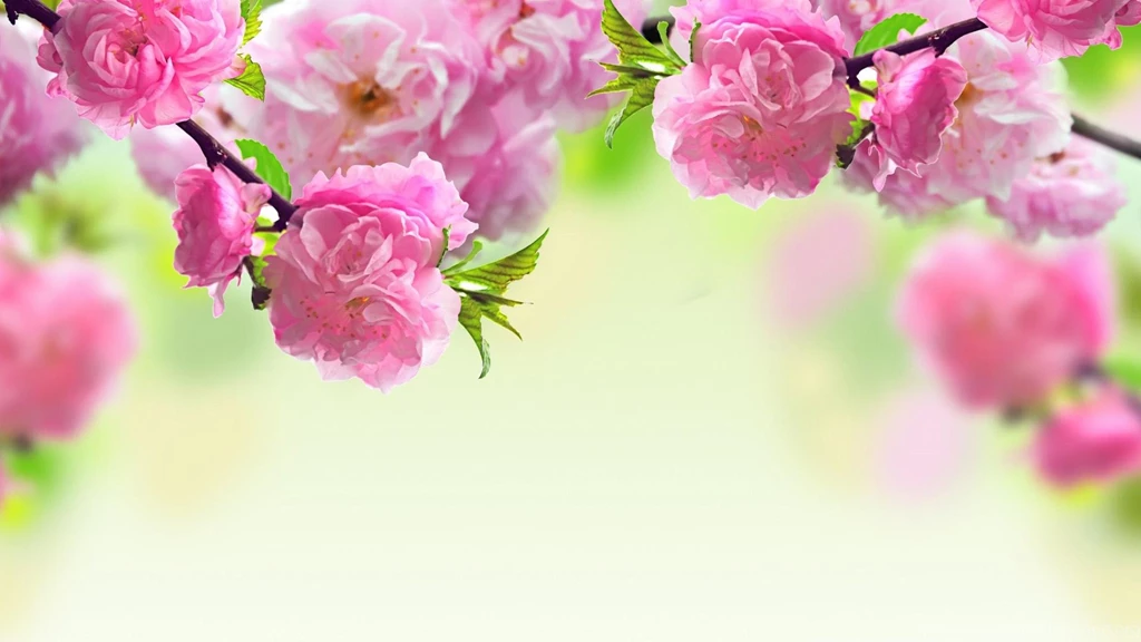 Large Wallpapers Made For Your Desktop Computer