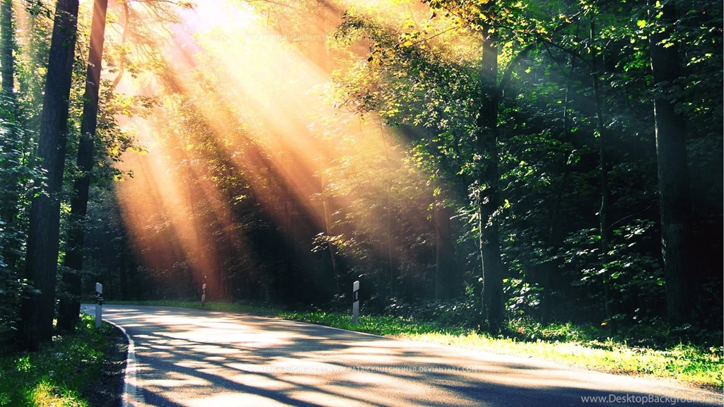 Nature HD Wallpaper 1080p HD Wide Wallpapers