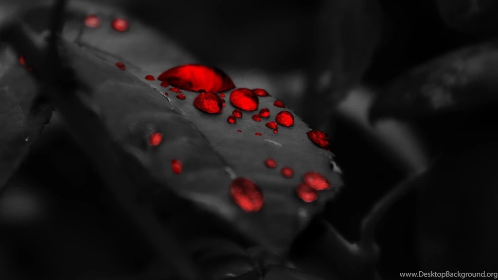 1080p Wallpapers_hd Wallpaper_download Free Wallpapers