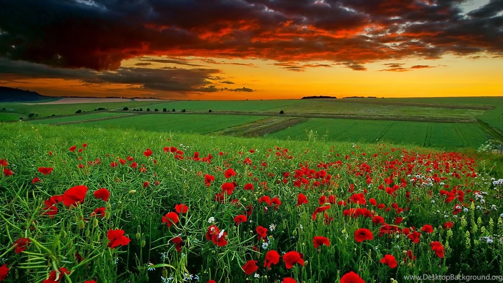 Www.wallpapereast.com Wallpapers Nature Page 8