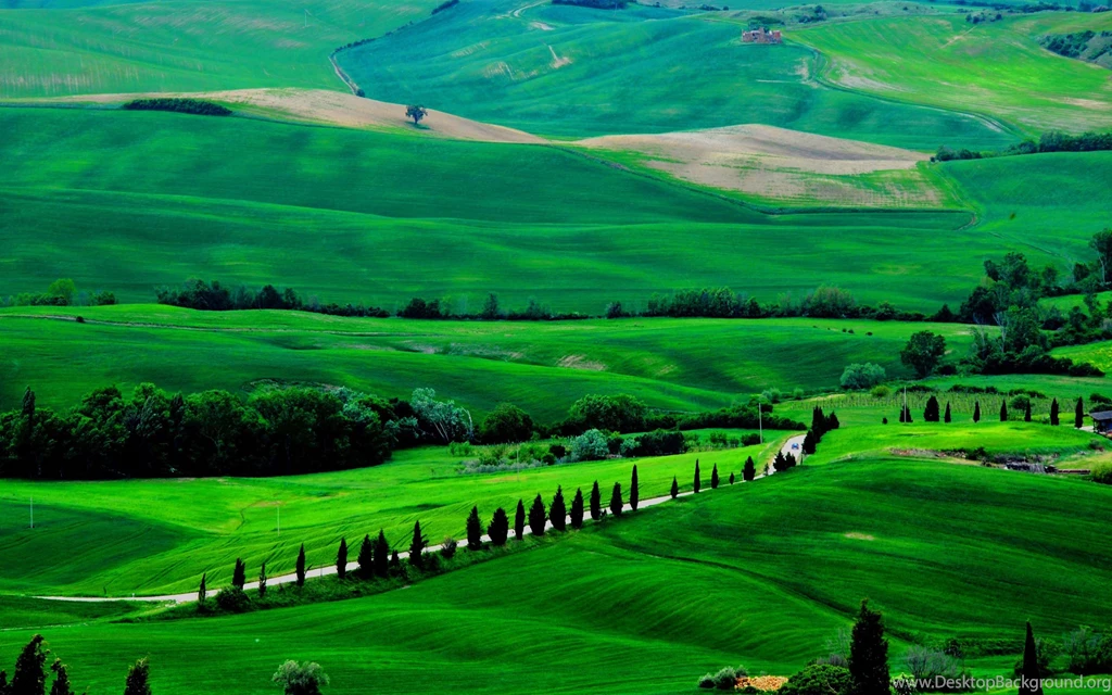 Nature Wallpapers For Android