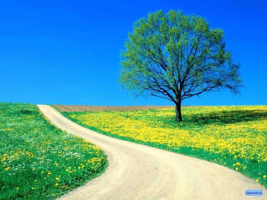 Nature Wallpapers Wehipoda