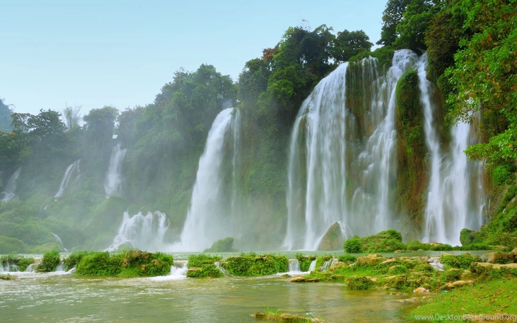 Nature Wallpaper 1.jpg