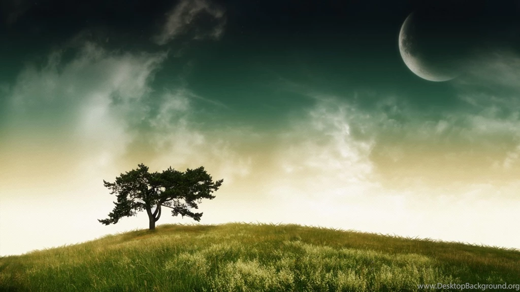 Nature Wallpapers