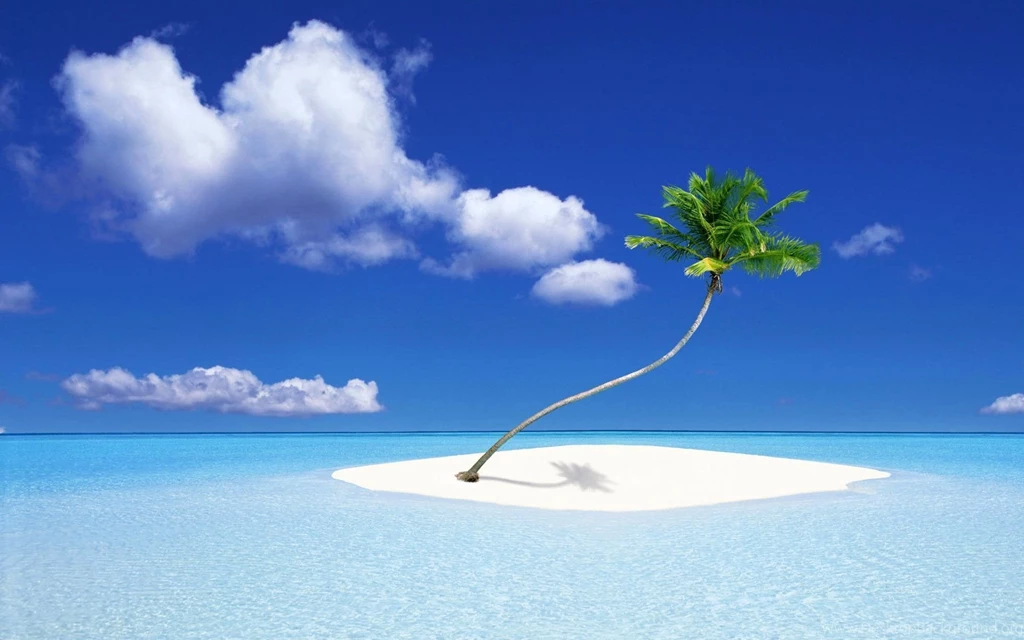 1920x1200 Palm Tree Island Desktop PC And Mac Wallpapers