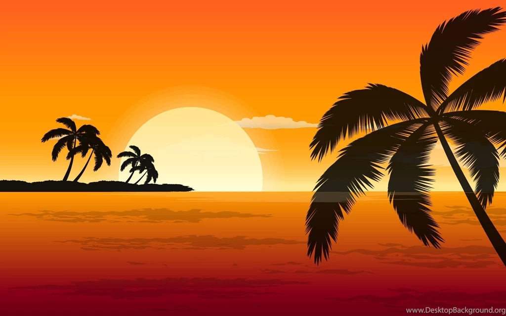 Palm Tree Wallpapers Widescreen Resolution
