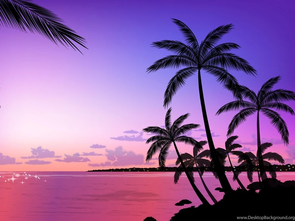 Beach Palm Tree Backgrounds