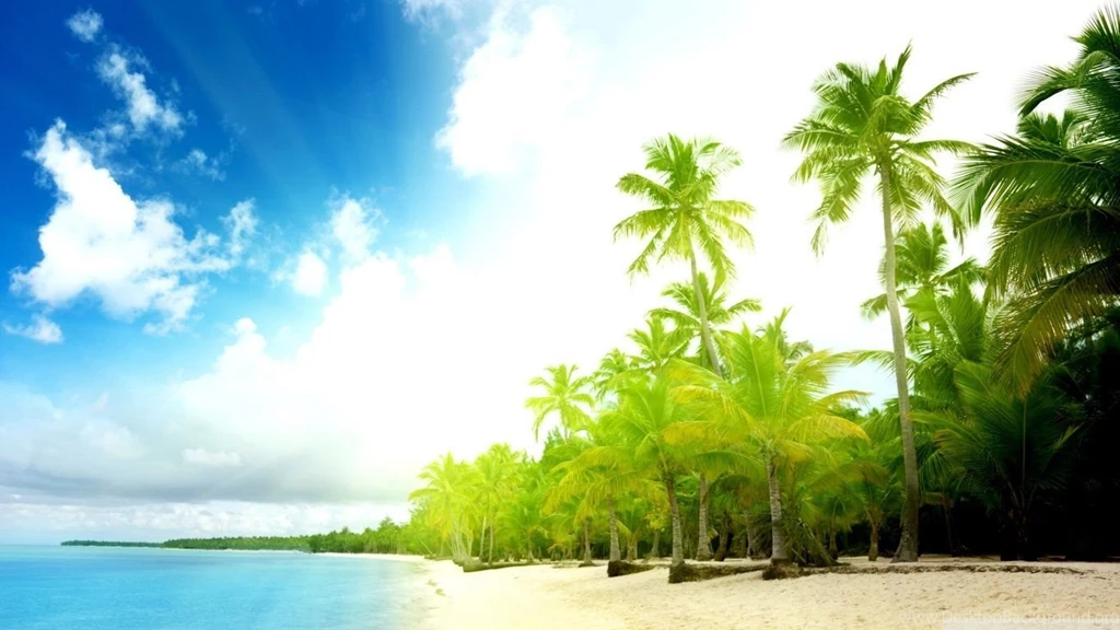 Palm Trees Beach HD Desktop Wallpapers : High Definition ...