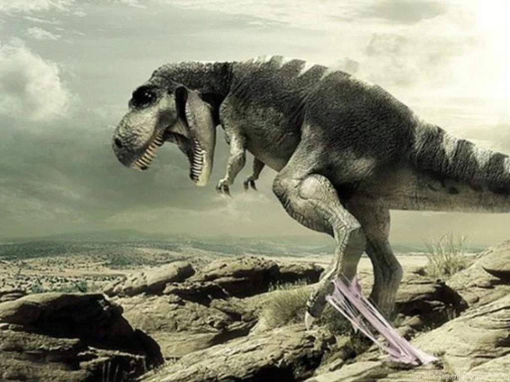 Dinosaur Wallpapers Full HD