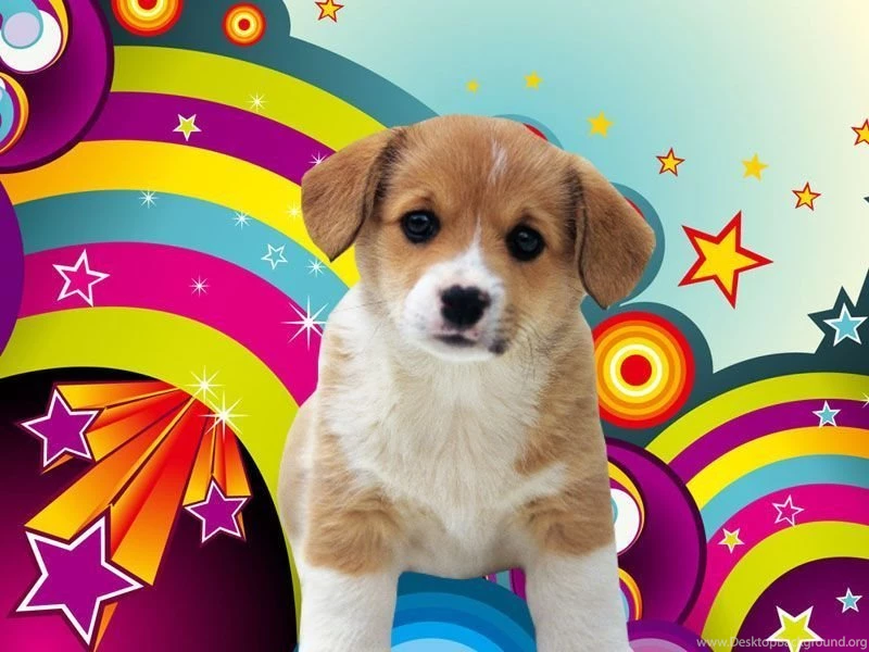 Best Hd Wallpapers For Ipad: Puppies Wallpapers Download