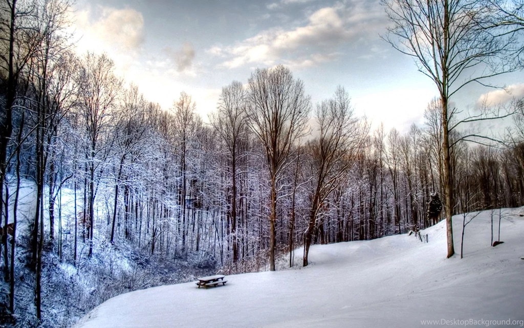 Snow Wallpapers High Quality